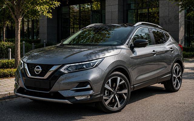 Nissan Servisi